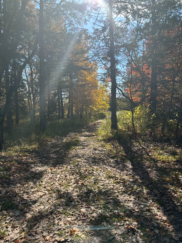 4 Pantsar Rd - Photo 3 of 13