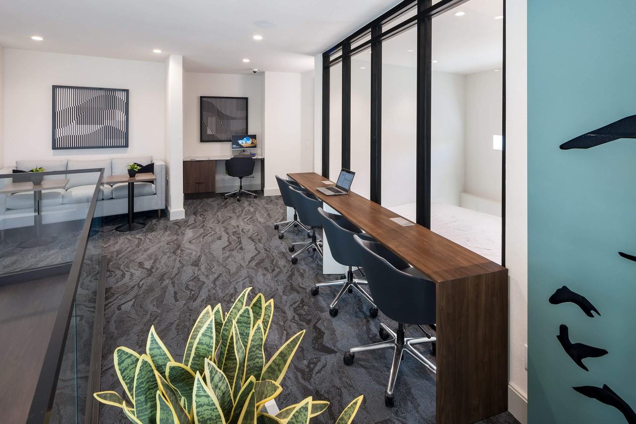 Muse at Midtown - Photo 5 of 50