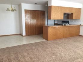 Basswood - Photo 1 of 1