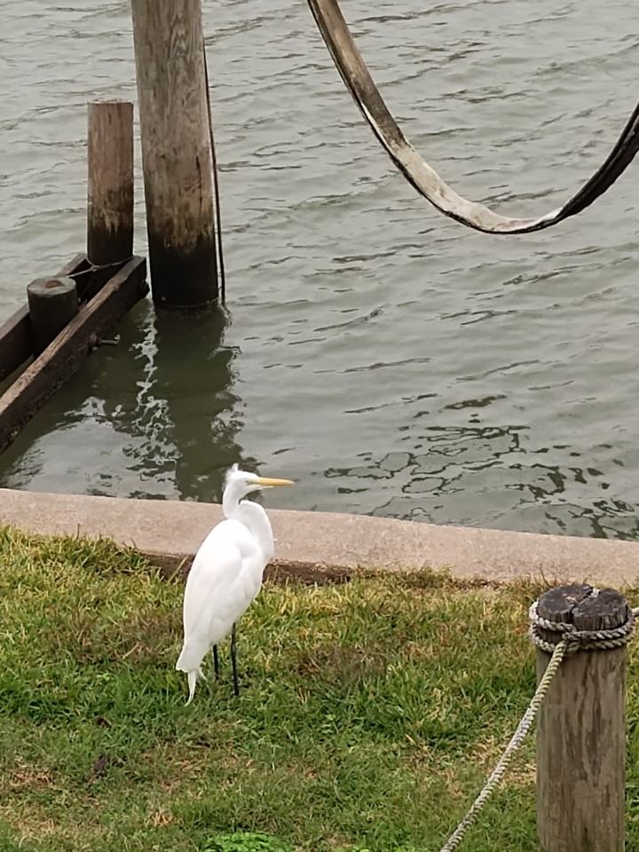 4315 Genoa Rd #NA - Photo 5 of 34