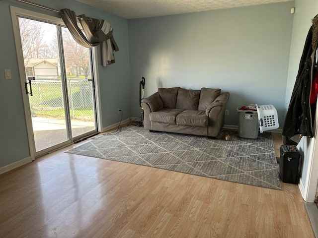 11046 Amburg Court - Photo 3 of 12