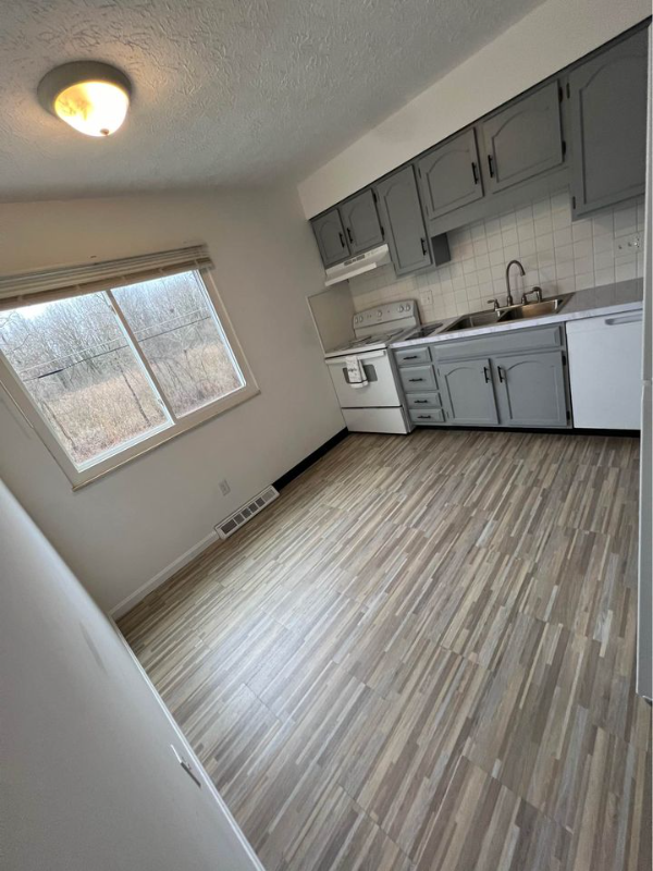 293 Canova Dr - Photo 3 of 15