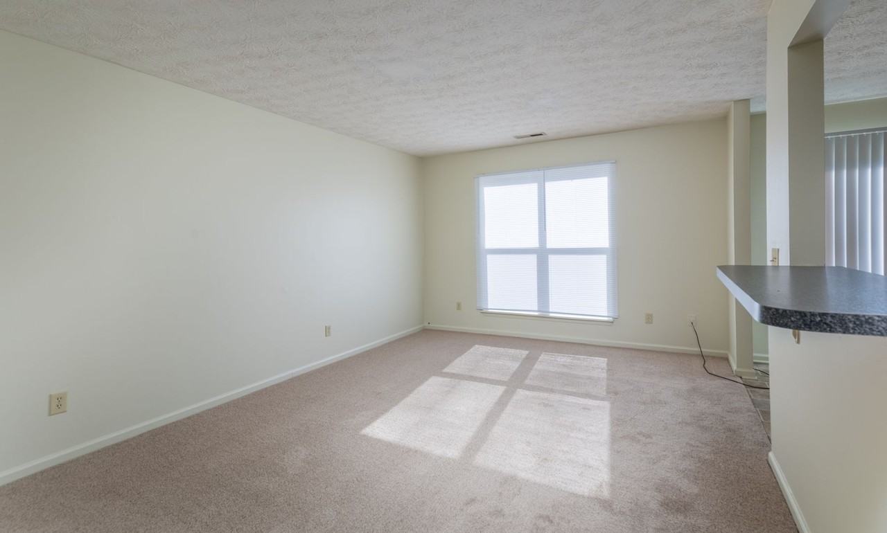 Rose Hill Versailles - Photo 3 of 11