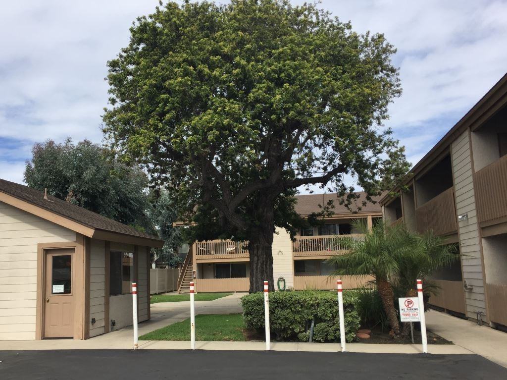 cma224 - Photo 2 of 14