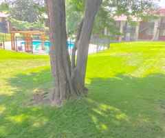 featured image of 1865 Fenton St #160