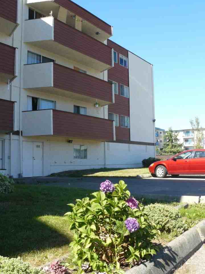 Wild Rose Apartments 2541 Dingwall St, Duncan, BC V9L 2Y8 Zumper