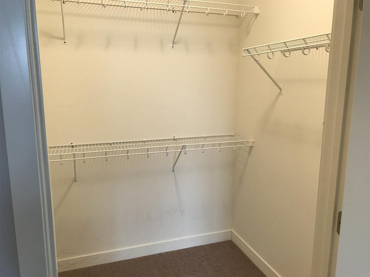 1519 Mccleary Ln #1519-2C - Photo 4 of 19