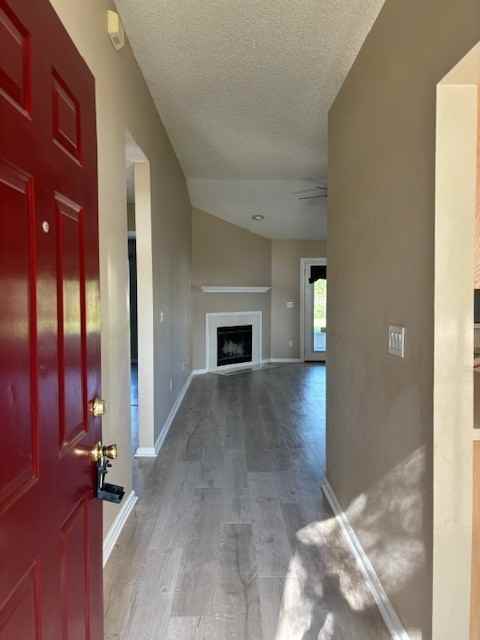12621 Blue Lagoon Trl #1 - Photo 3 of 25