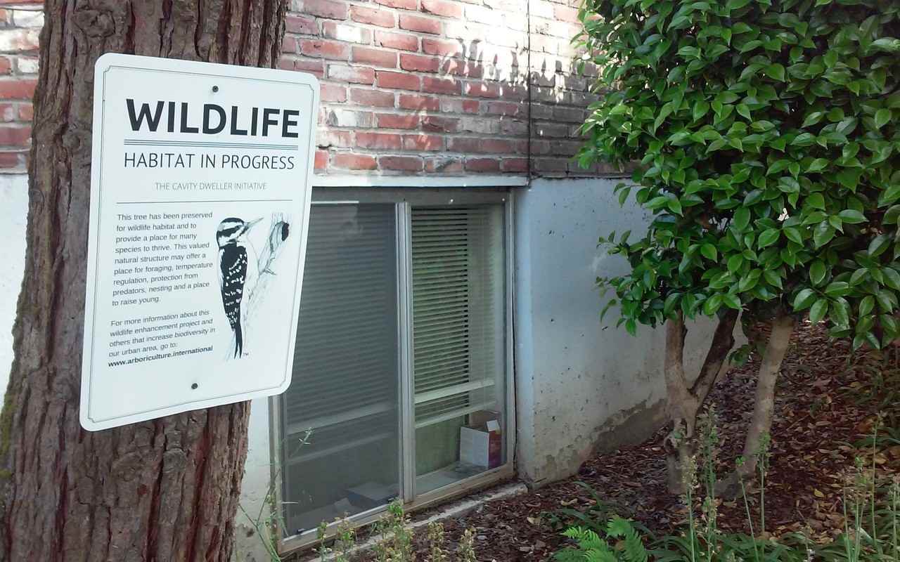 Northshore Apartments in Lakewood, Lake Oswego, OR 97034 Zumper