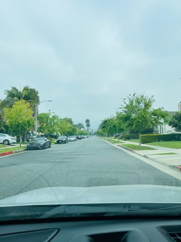 482 S Hamel Rd - Photo 3 of 27