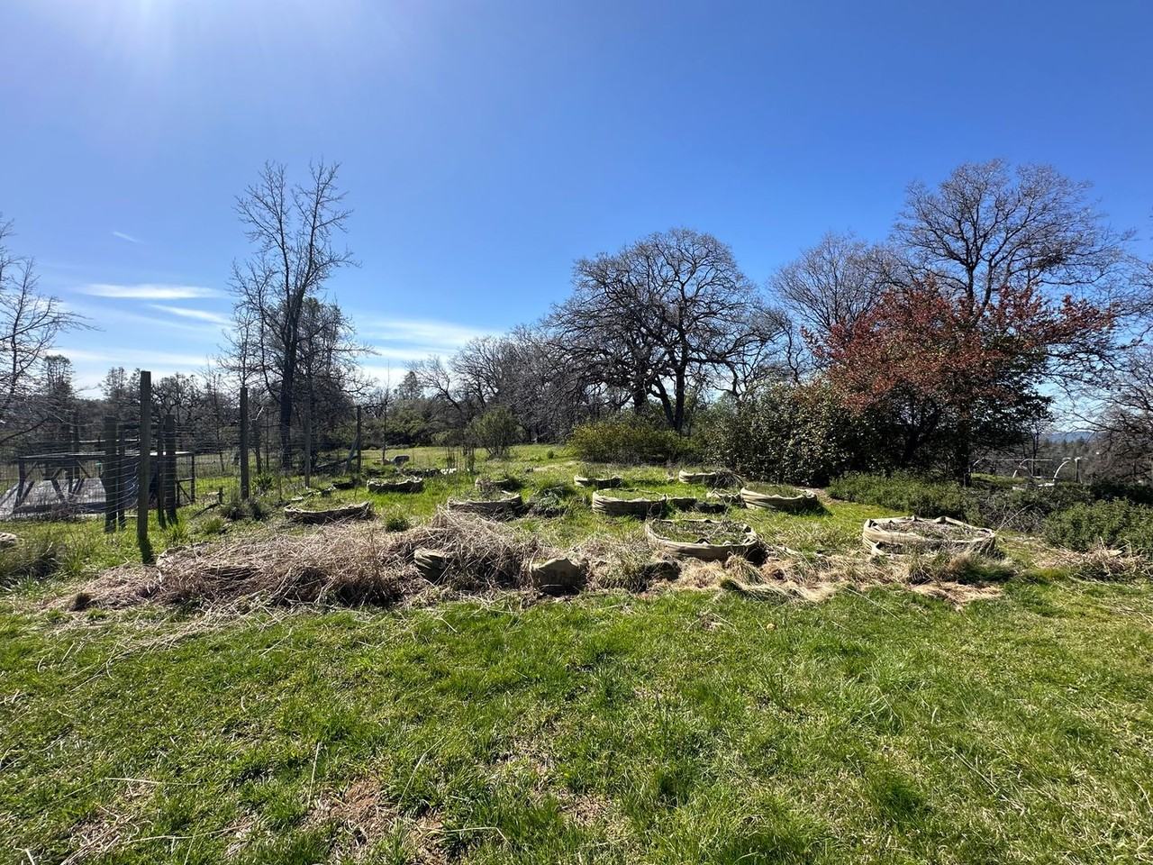 15225 Monte Vista Dr - Photo 5 of 45