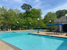 The Nest - Photo 1 of 1