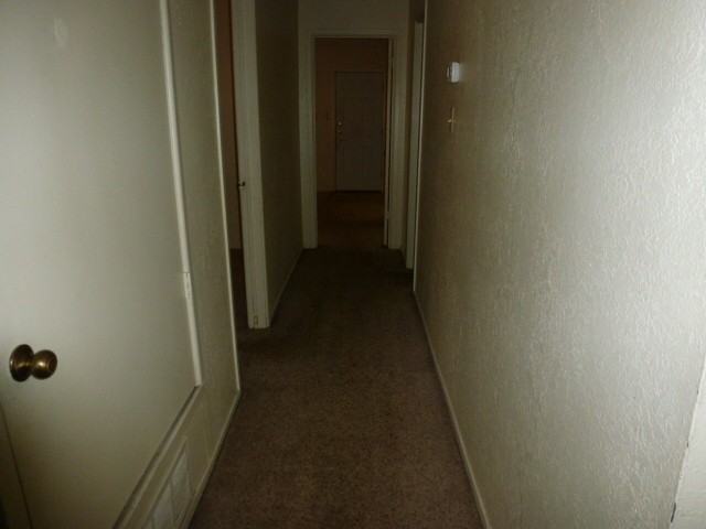 927 Minter Ln - Photo 6 of 14