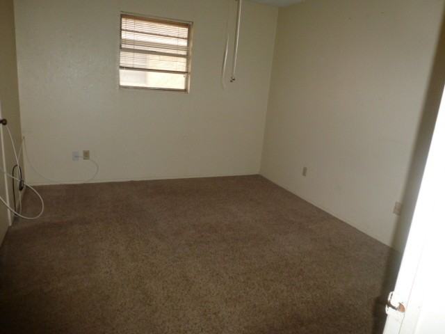 927 Minter Ln - Photo 7 of 14