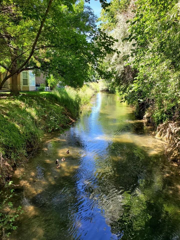 203 - Brookside Apartments - Photo 5 of 5