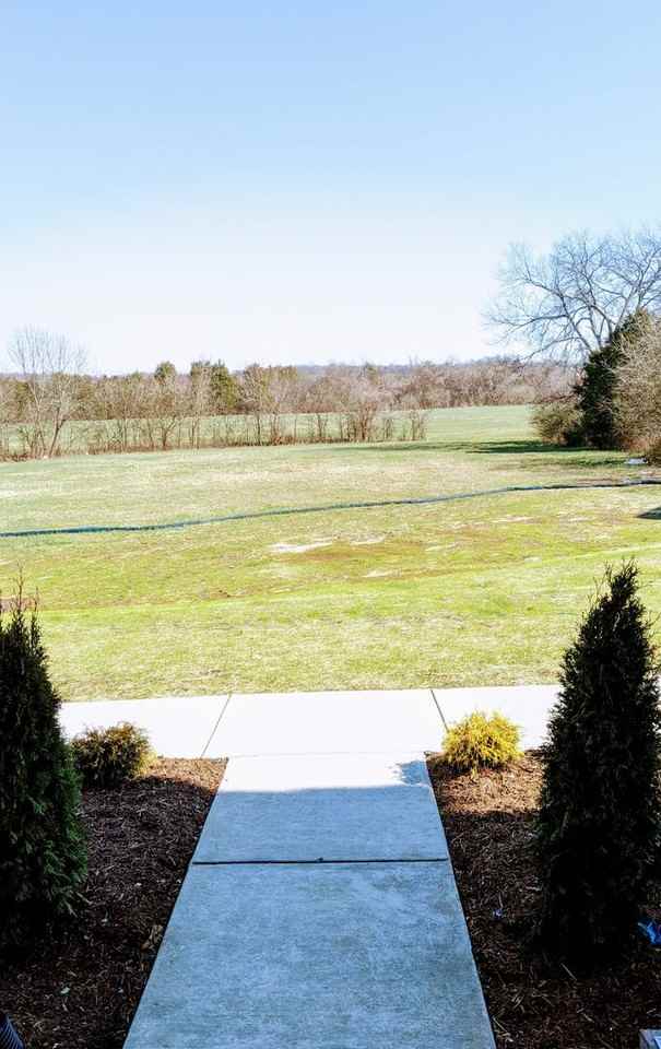 134 Greenbrook North Way - Photo 3 of 19