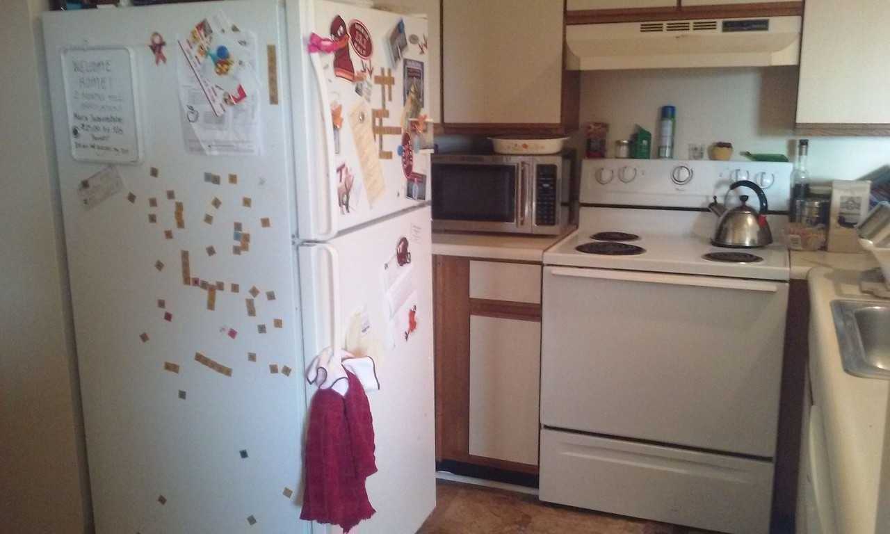 1204K University Terrace Dr.(Progress St.) - Photo 3 of 8