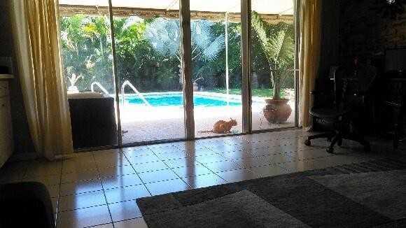 8081 West Lake Drive - Photo 3 of 4