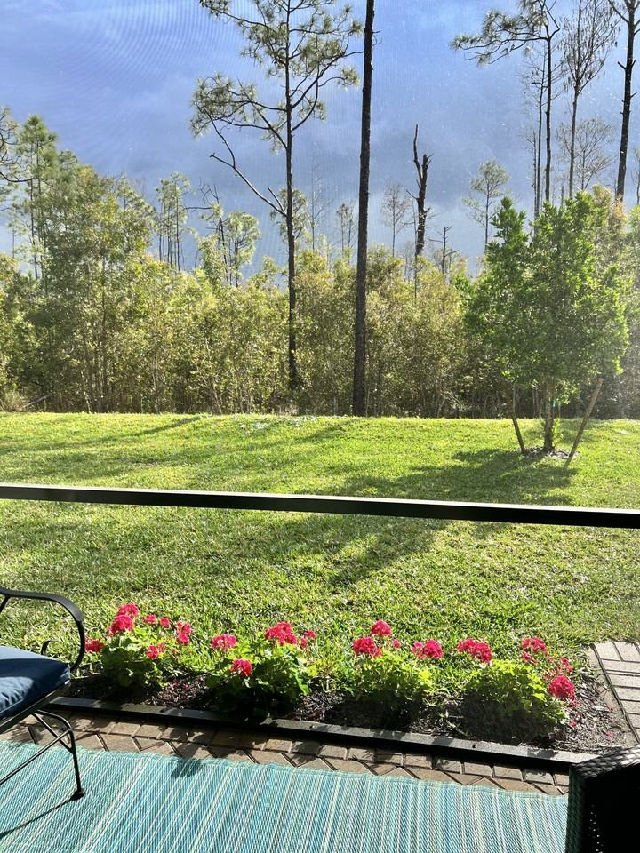 10293 Bonavie Cove Dr #NA - Photo 2 of 17