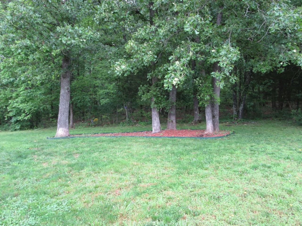 242 Settlers Pass - Photo 6 of 31