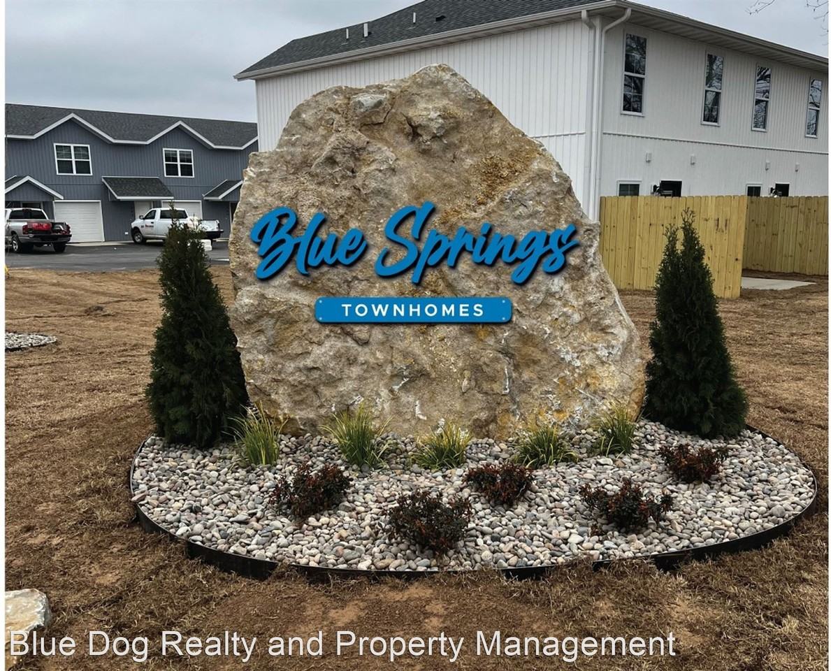 Blue Springs Road - Photo 2 of 33