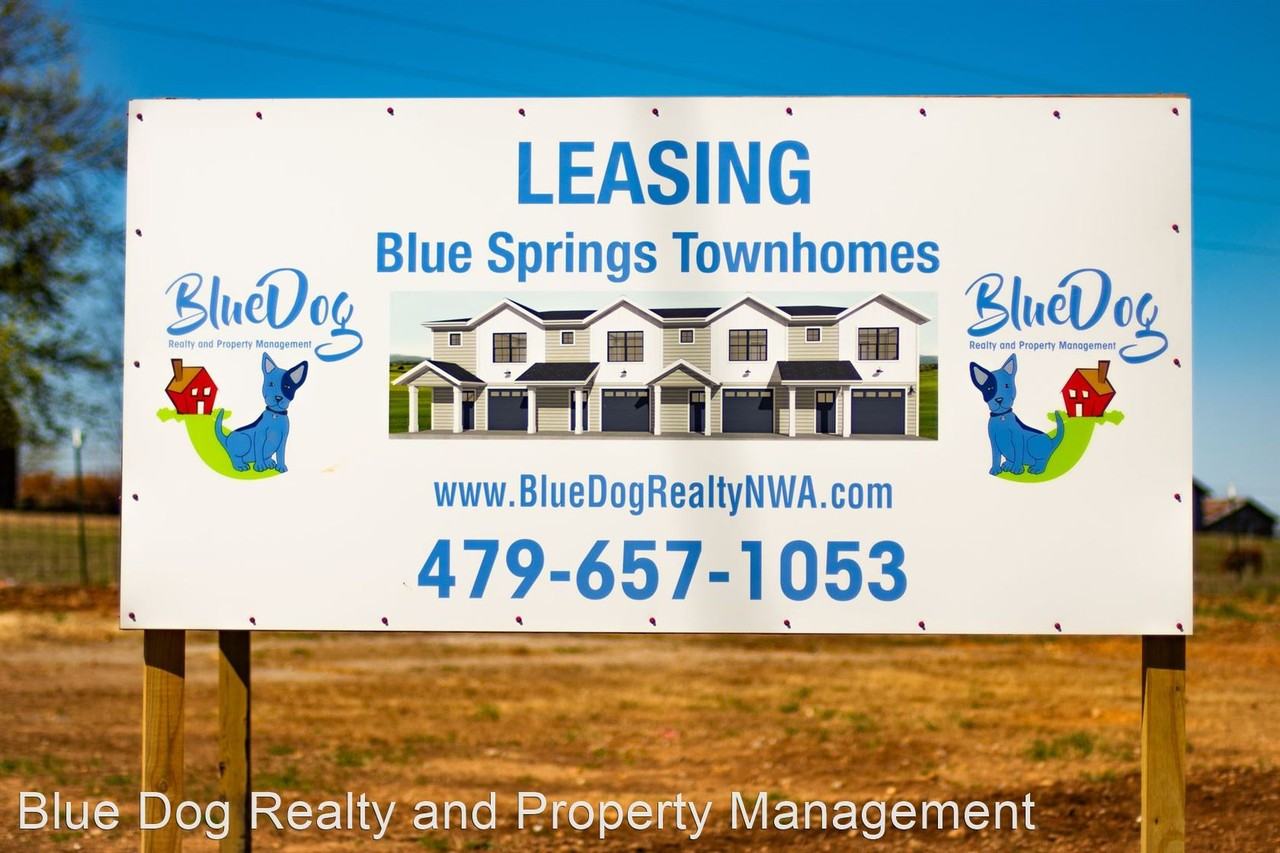 Blue Springs Road - Photo 3 of 33