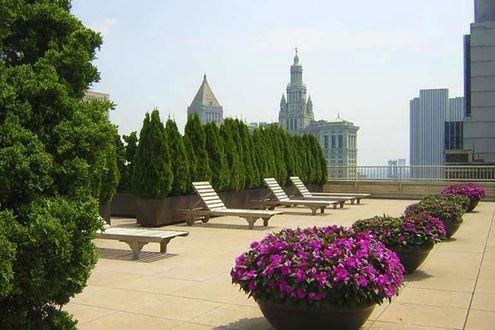 50 Murray St #1513 - Photo 7 of 7