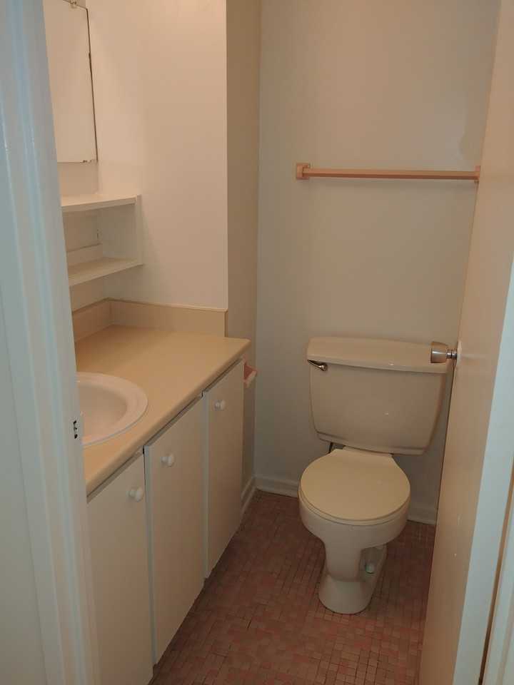 330 Chapel Street 509, Ottawa, ON K1N 7Z3 Studio Apartment for Rent