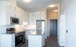 3265 Carding Mill Trail #503 - Photo 1 of 1