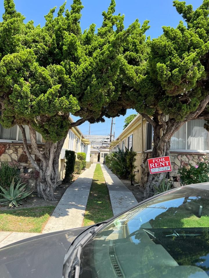 Merriwood Willow - Photo 2 of 4