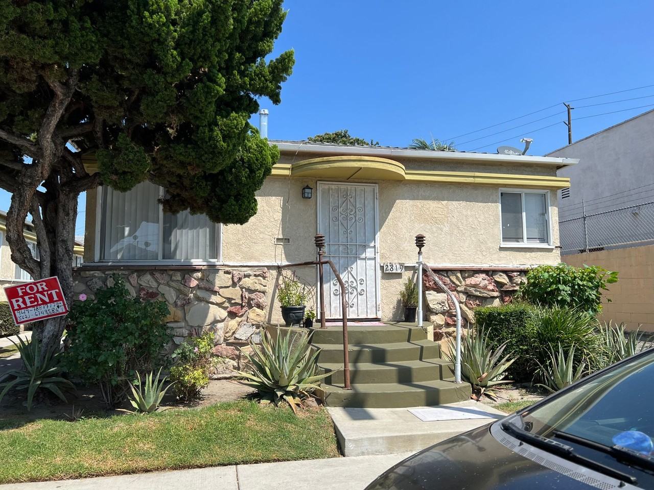 Merriwood Willow - Photo 3 of 4