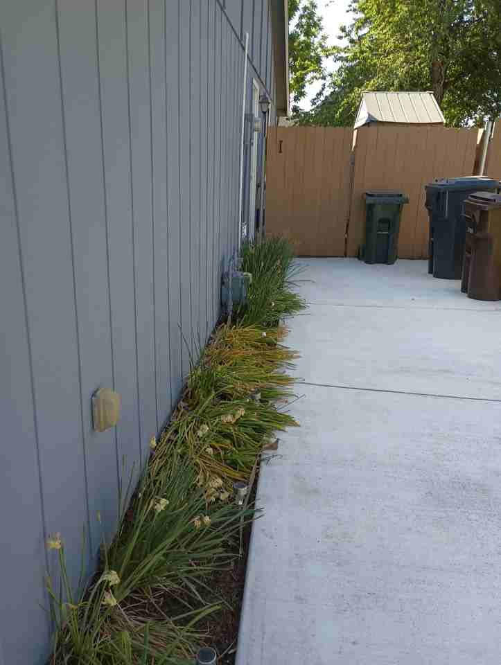 15066 Se Primrose Ave #1 - Photo 2 of 10