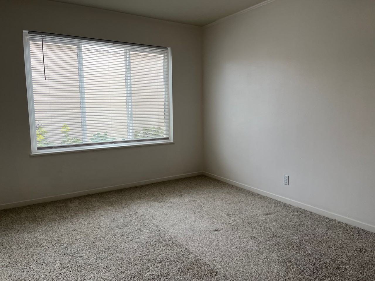 NEWMAN-217 - Photo 2 of 7