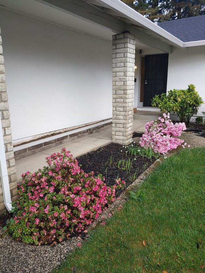 1556 Parkwood St - Photo 2 of 16