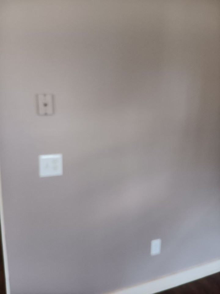 505 Rentschler St - Photo 4 of 9