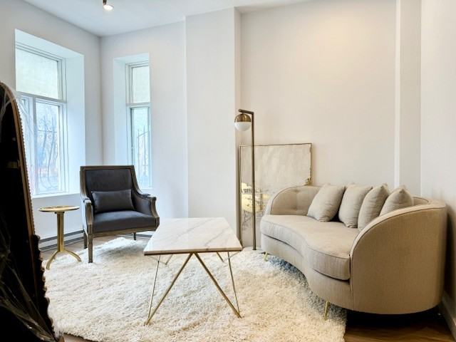 294 Rue du Square-Saint-Louis #204 - Photo 4 of 22