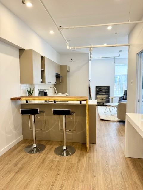 294 Rue du Square-Saint-Louis #204 - Photo 7 of 22