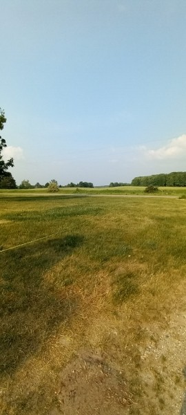 602 Saunders Road - Photo 6 of 18