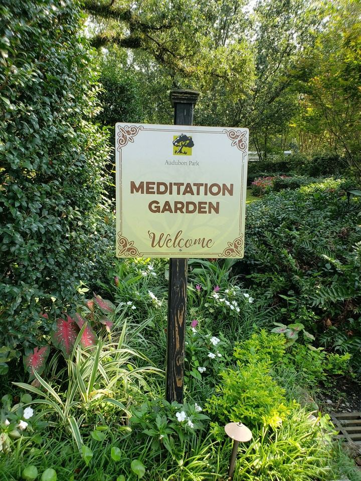 7449 Pitt Street, Unit Audubon House 1 - Photo 4 of 22