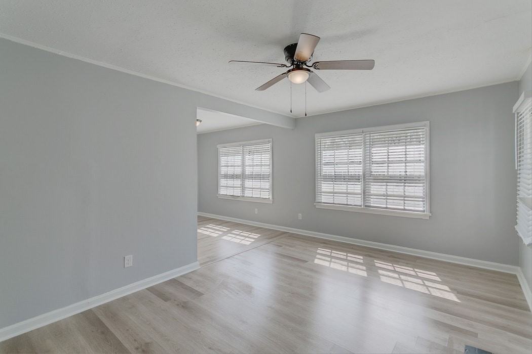 167 Potter Drive - Photo 5 of 15