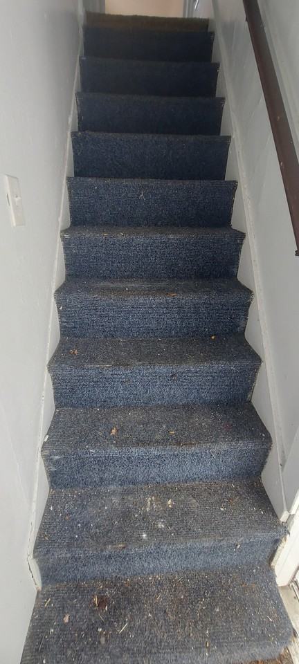 436 Wood Street, Unit 436-3 - Photo 5 of 8