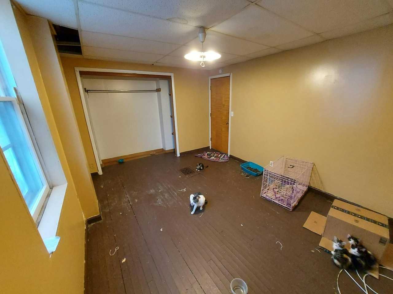 181 Canal Street, Unit 1 - Photo 7 of 19