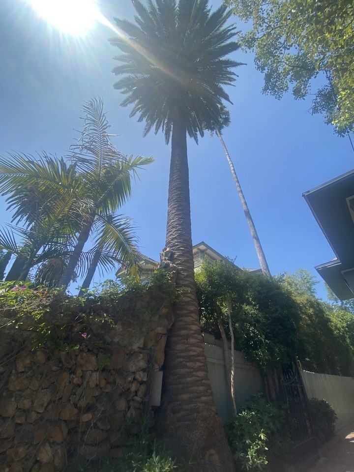 2115 Estrella Avenue, Unit Estrella - Photo 4 of 11