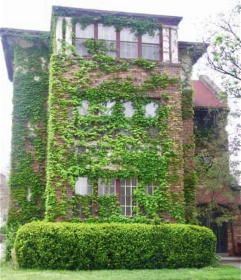 1704 North Pennsylvania Street, Unit B - Photo 2 of 19