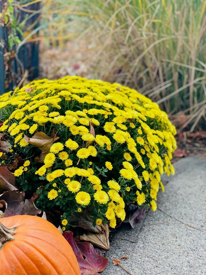 1244 North Illinois Street, Unit 103 - Photo 4 of 37