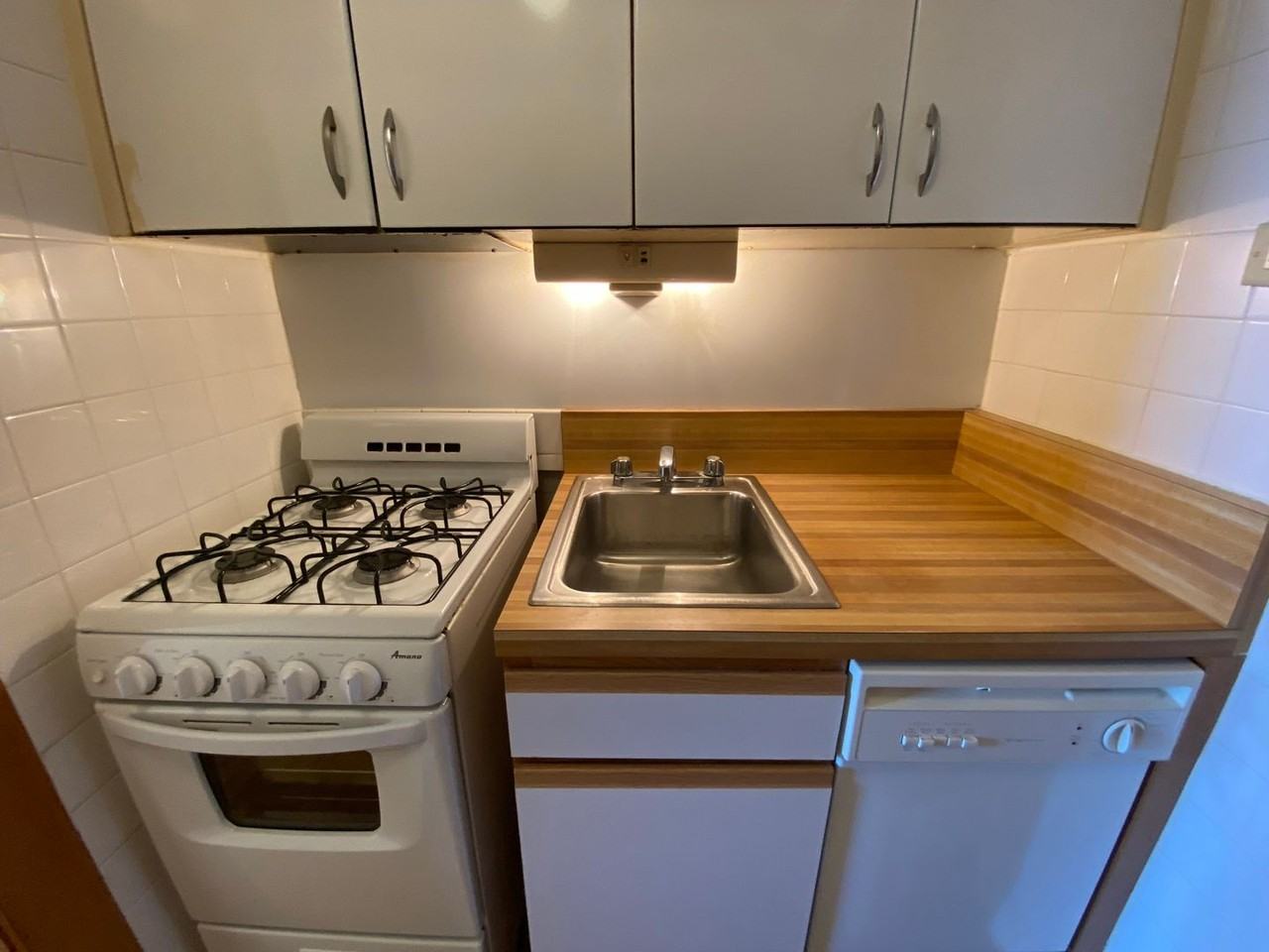 2738 N. Pine Grove - Photo 7 of 50