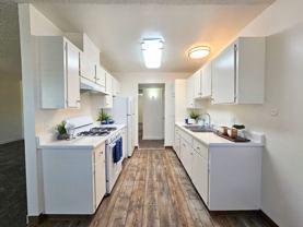 Shady Terrace - Photo 1 of 1