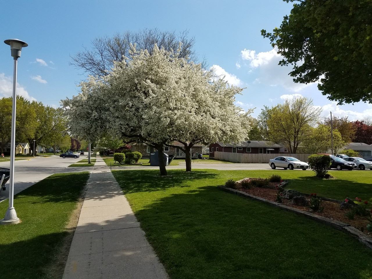 Courtyard Apartments - Photo 2 of 31
