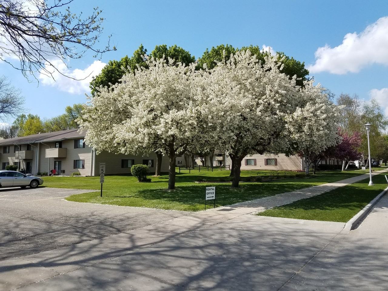 Courtyard Apartments - Photo 4 of 31