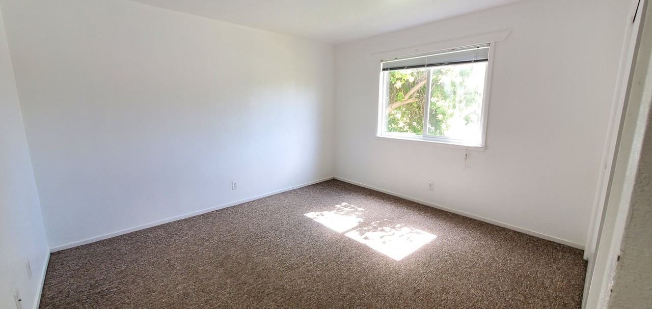 0123 11145-11215 El Camino Real - Photo 6 of 17
